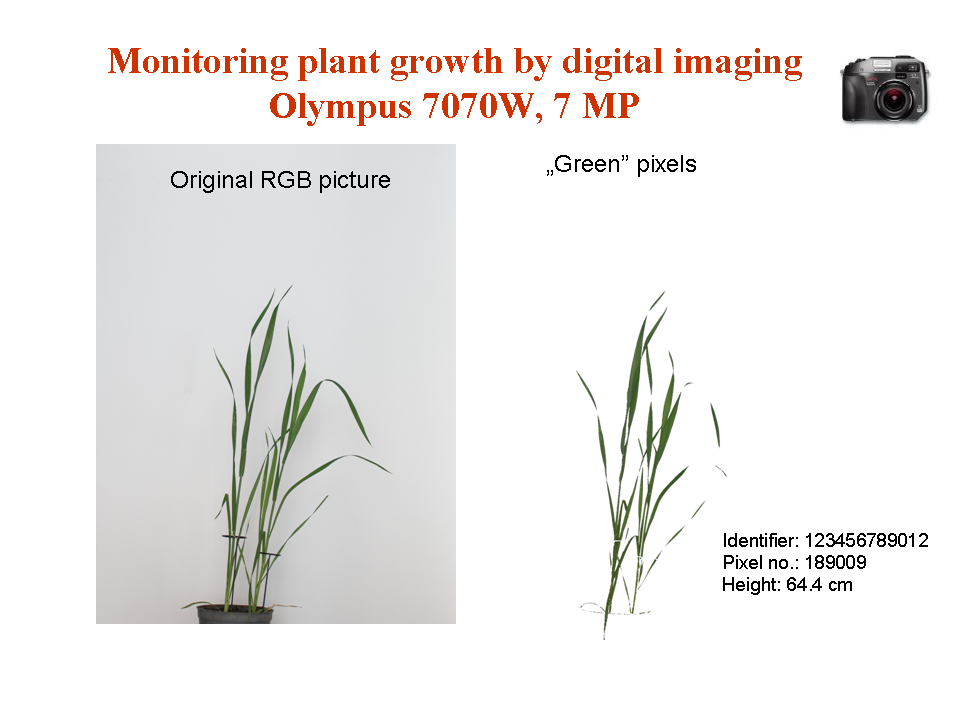 plant monitoring by digital imaging